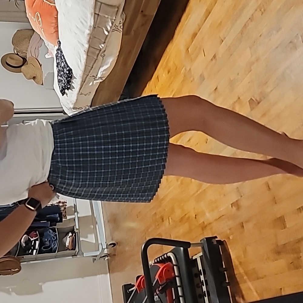 NWT PLEATED SKIRT - Picture 2 of 9